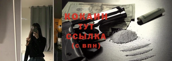винт Ладушкин